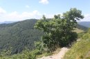 Du col du Haag au Grand Ballon